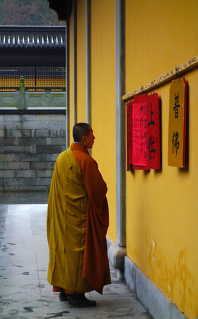 a monkのeditorial素材