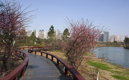 Pedestrian channelのeditorial素材