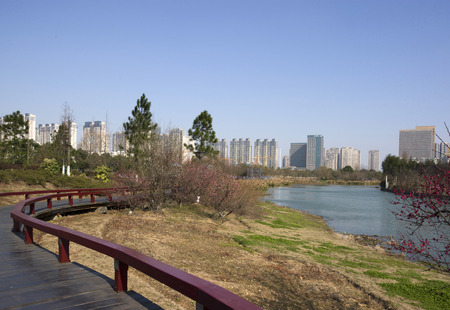 Pedestrian channelのeditorial素材