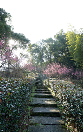 Meiyuan sidewalk