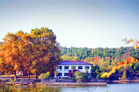 collective farm sceneryのeditorial素材