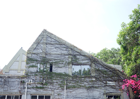 landscape architectureのeditorial素材