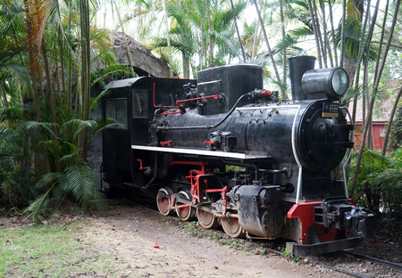 Locomotive head