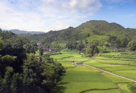 idyllicの写真素材