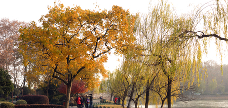 West Lake sceneryのeditorial素材