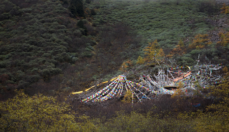 prayer flags at Huanglong, Sichuan.のeditorial素材