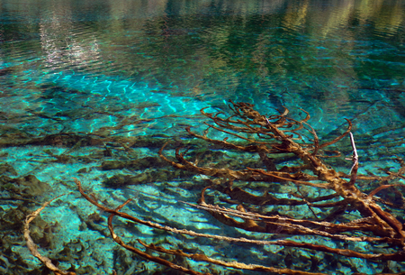 Haizi, jiuzhaigouのeditorial素材