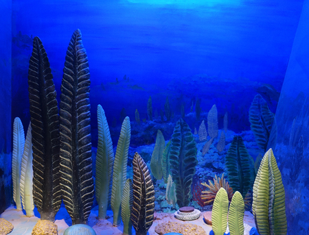 sealife exhibition in a museumのeditorial素材