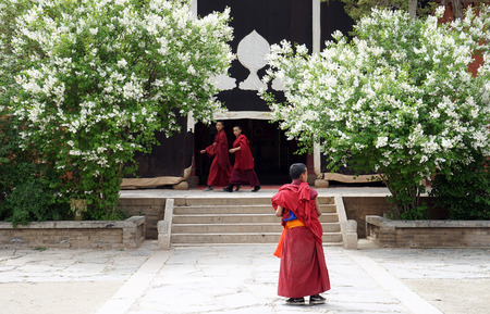 Landscape view of monks walking outside of a temple