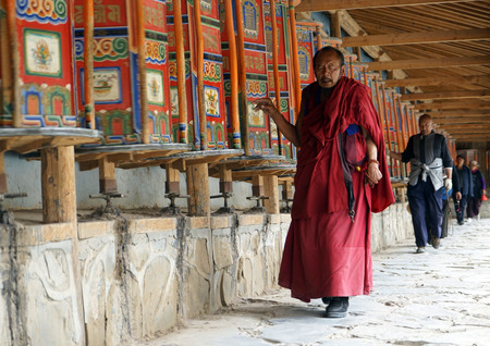 Lama turns to classicsのeditorial素材