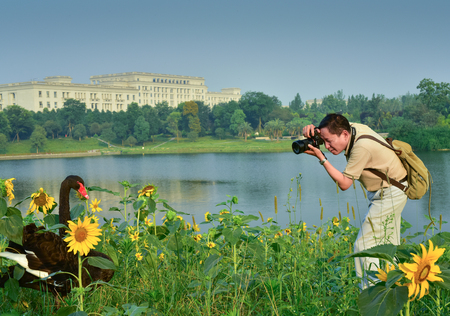 View of a photographer taking a photo of the black swan at the lake sideのeditorial素材