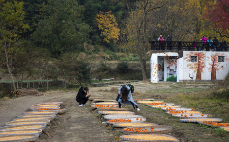 Sai Valley fieldのeditorial素材