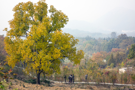 Huizhou Village landscape viewのeditorial素材
