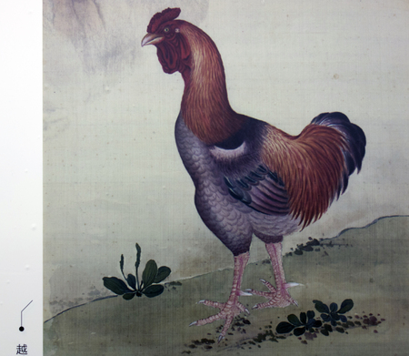 rooster painting in a museumのeditorial素材