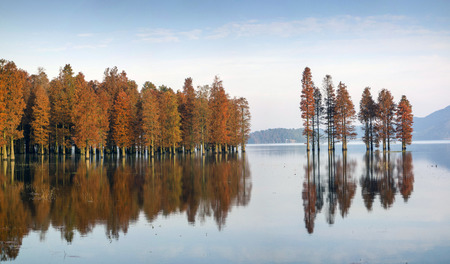 Autumn sceneryの写真素材