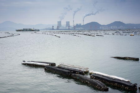 East China Sea aquacultureの写真素材