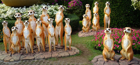 Mongoose statue at 
Nong Nooch Villageのeditorial素材