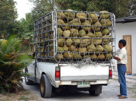 Fruit transporterのeditorial素材