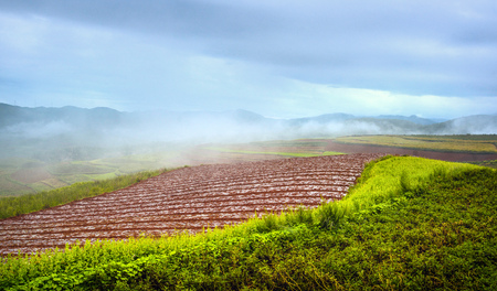 Landscape scenery view of a terraces