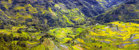 Terraces landscape viewの写真素材