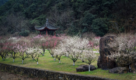 Pavilion in a parkの写真素材