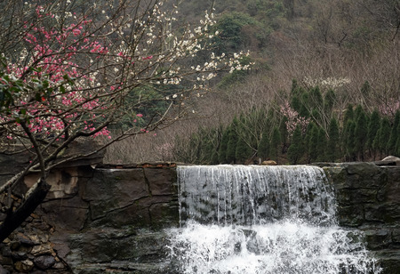 Mini waterfall in a parkの写真素材