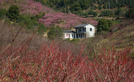 Tourists strolling in a parkのeditorial素材