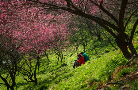 Tourists relaxing in a parkの写真素材