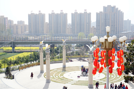 Pear orchard squareのeditorial素材