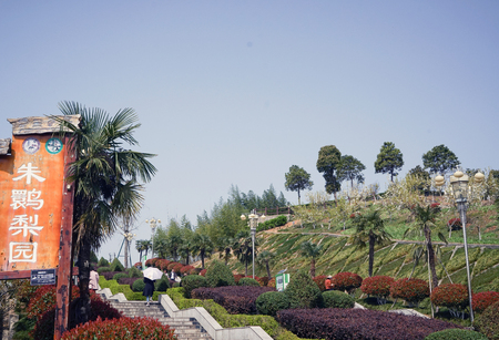 Yangxian Zhuhuan Liyuanのeditorial素材