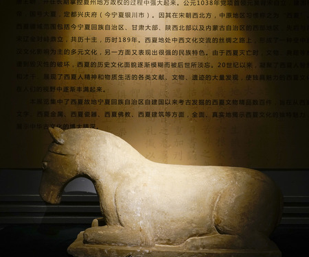 Stone horseのeditorial素材