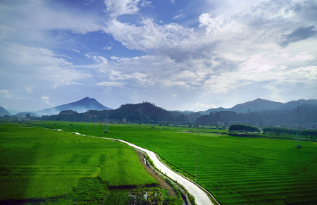 Idyllic scenery