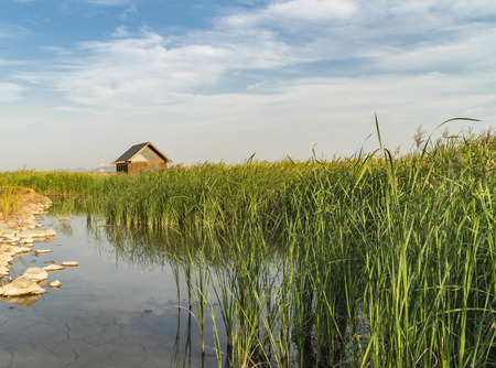 Meishan Wetland Parkのeditorial素材