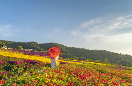 Hua Wu Ren Jian sceneryのeditorial素材