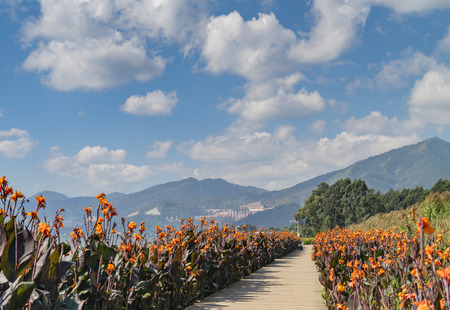 Lakeside walkwayの写真素材