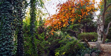 Xuanwu Lake Parkの写真素材