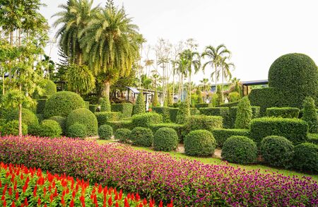 Nong Nooch Tropical Gardenの写真素材