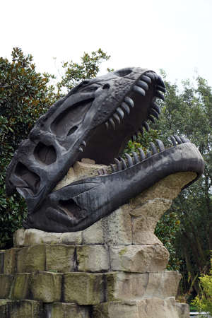 Dinosaur headのeditorial素材