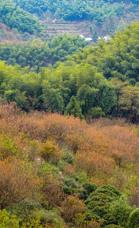 Siming Mountain Springの写真素材