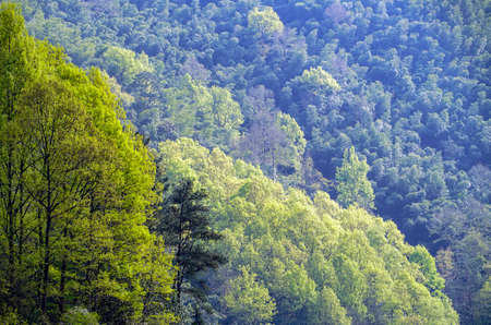 Siming Mountain Springの写真素材