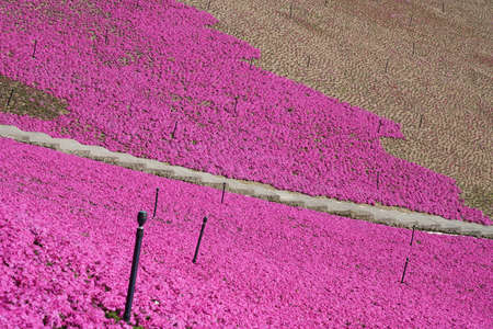 Ningbo Jiangbei Lvyeju Springの写真素材