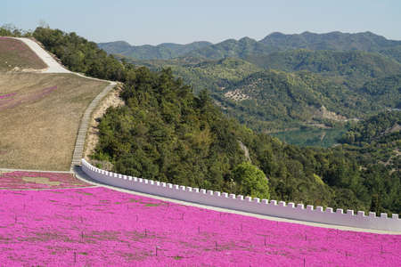 Ningbo Jiangbei Lvyeju Springの写真素材