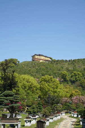 Ningbo Jiangbei Lvyeju Springの写真素材