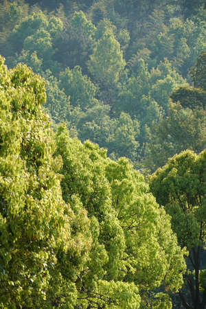 Jiangnan Springの写真素材