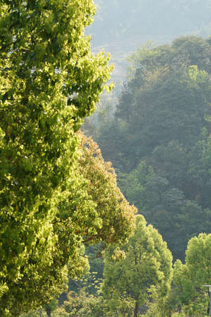 Jiangnan Springの写真素材