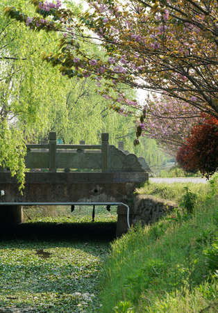 Jiangnan Springの写真素材