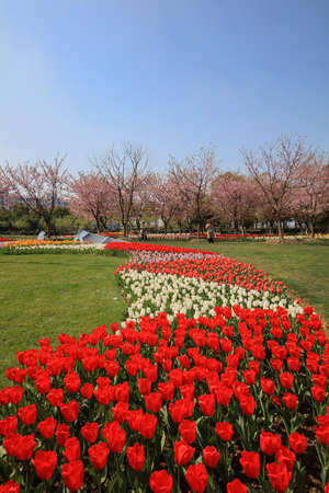 Ningbo Botanical Gardenのeditorial素材