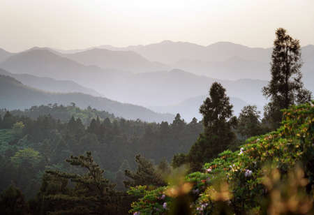 Huading Mountain Rhododendron Valley