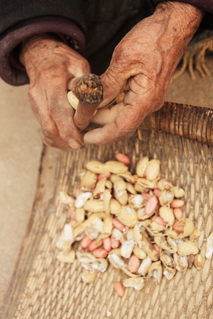 ?????の写真素材