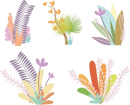 Tropical rainforest foliage flower combination on white backgroundのイラスト素材